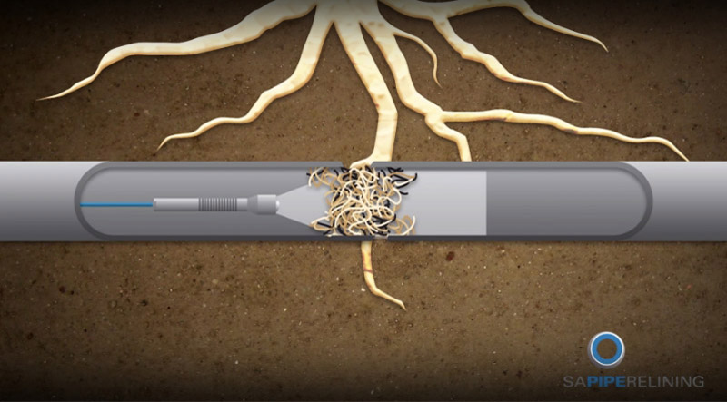 Pipe Relining Tree Root Drain Repairs