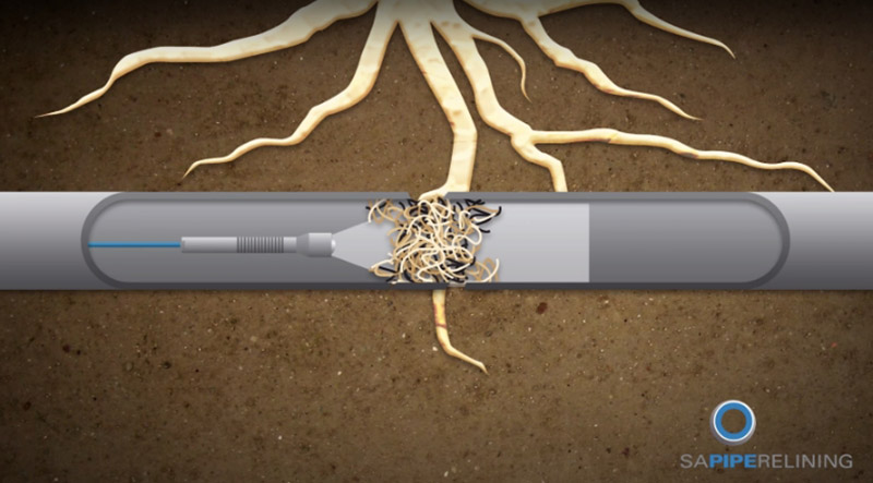 Pipe Relining Tree Root Damage Repairs
