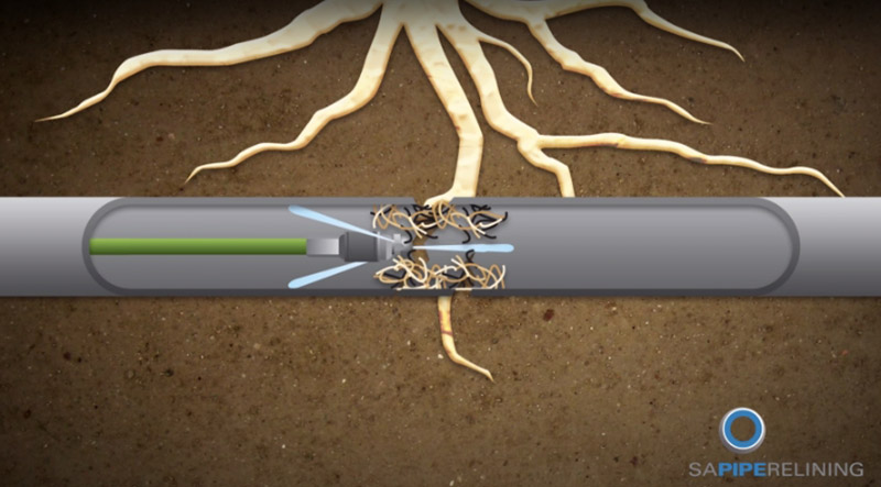 drain repairs